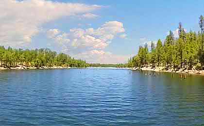 What's Willow Springs Lake Campground Az Like? Insider Tips