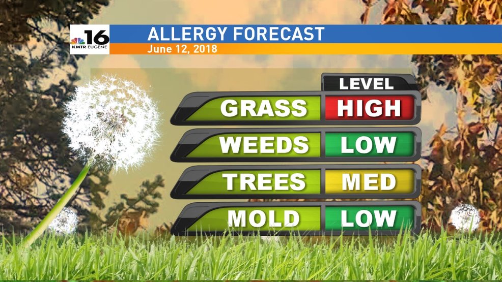 When Is Pollen Count High In Kansas City Mo? Relief Tips