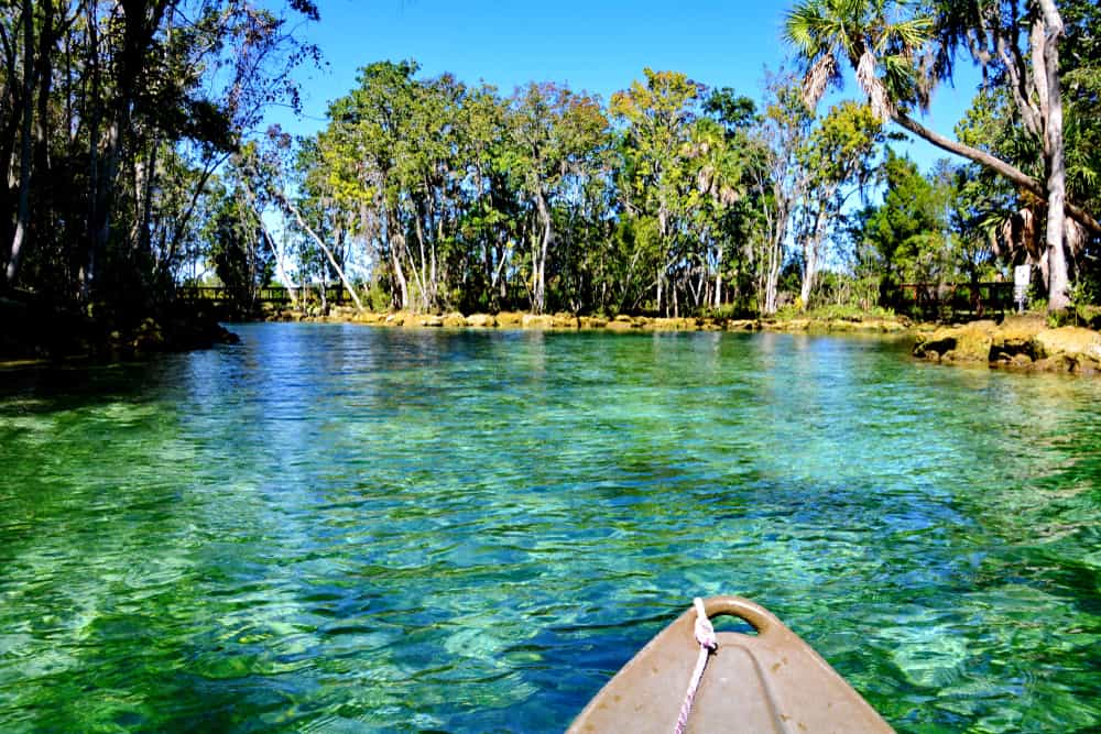 When To Visit Florida Rivers? Best Times Guide