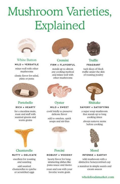 White Mushroom Types Explained White Mushroom Types Explained