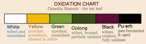 White Tea Has Caffeine